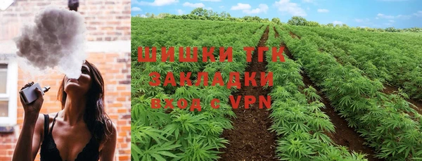 ГАЛЛЮЦИНОГЕННЫЕ ГРИБЫ Верхнеуральск