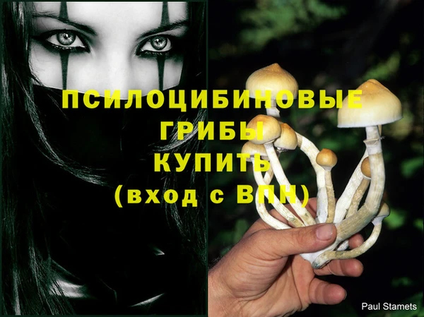хмурый Верхний Тагил