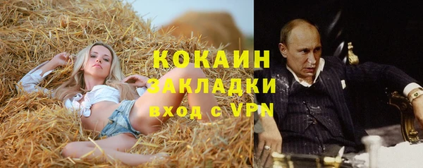 амф Верея
