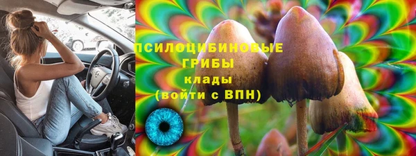амф Верея
