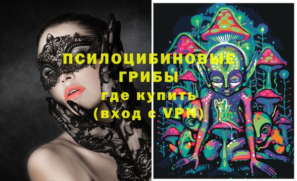 хмурый Верхний Тагил