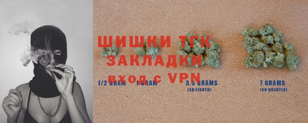 амф Верея