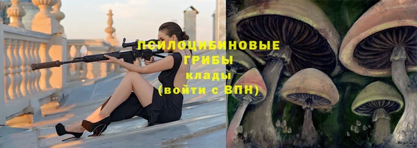 ГАЛЛЮЦИНОГЕННЫЕ ГРИБЫ Верхнеуральск